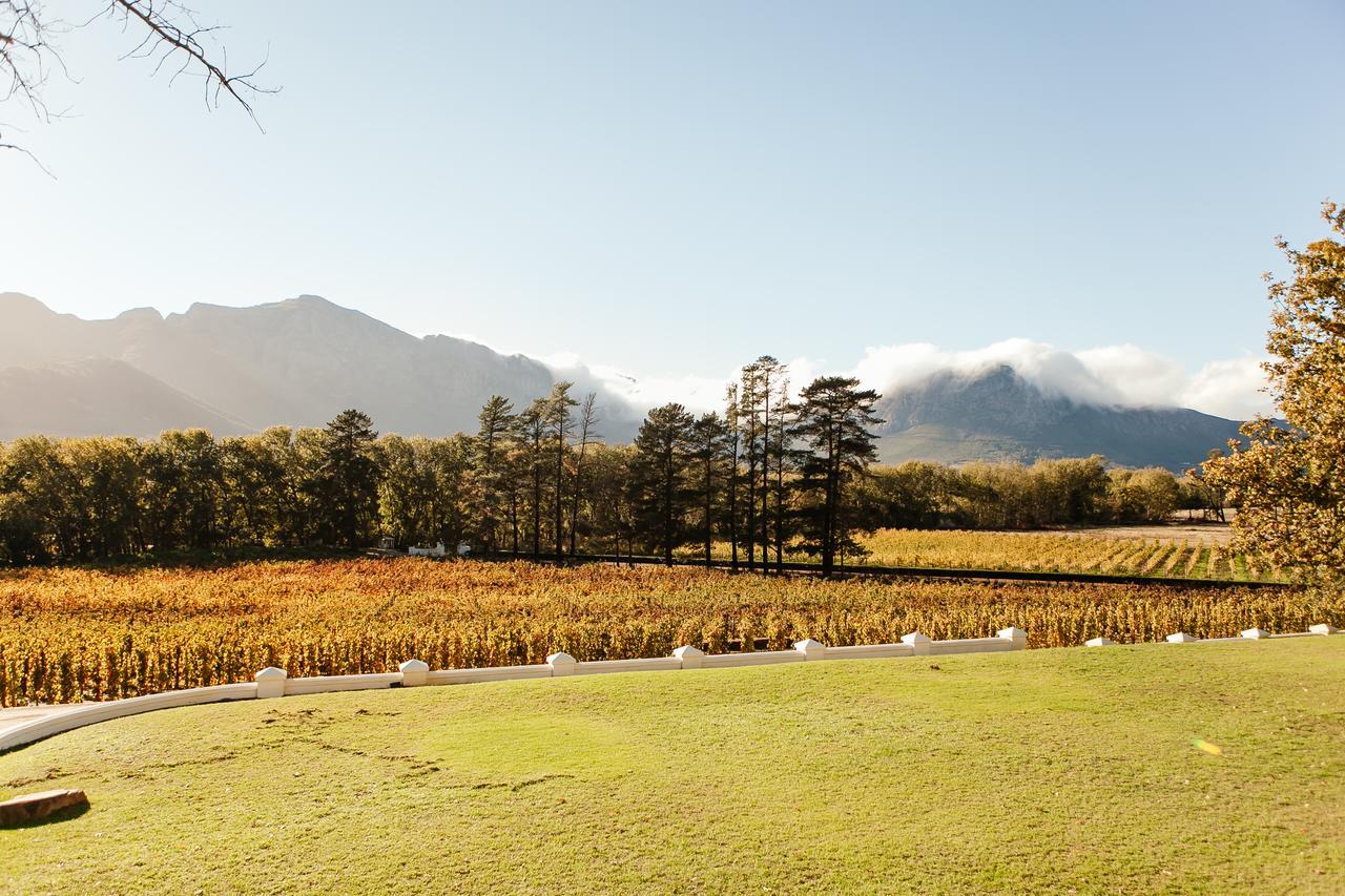 Rickety Bridge Manor House Pension Franschhoek Buitenkant foto