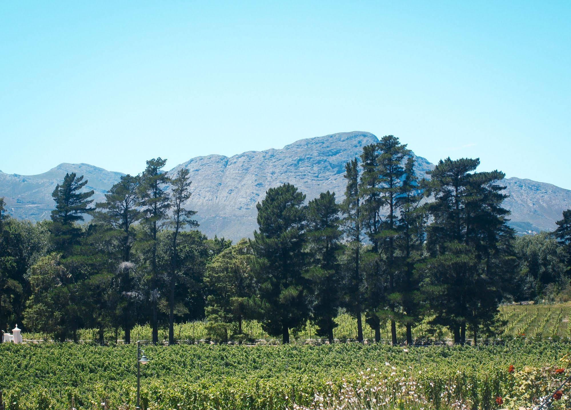 Rickety Bridge Manor House Pension Franschhoek Buitenkant foto